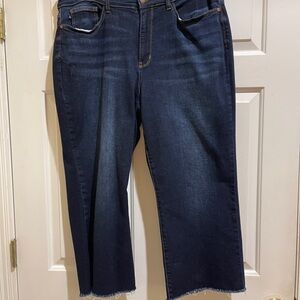 Judy Blue Wide Leg Cropped Ankle Blue Jeans with Stretch